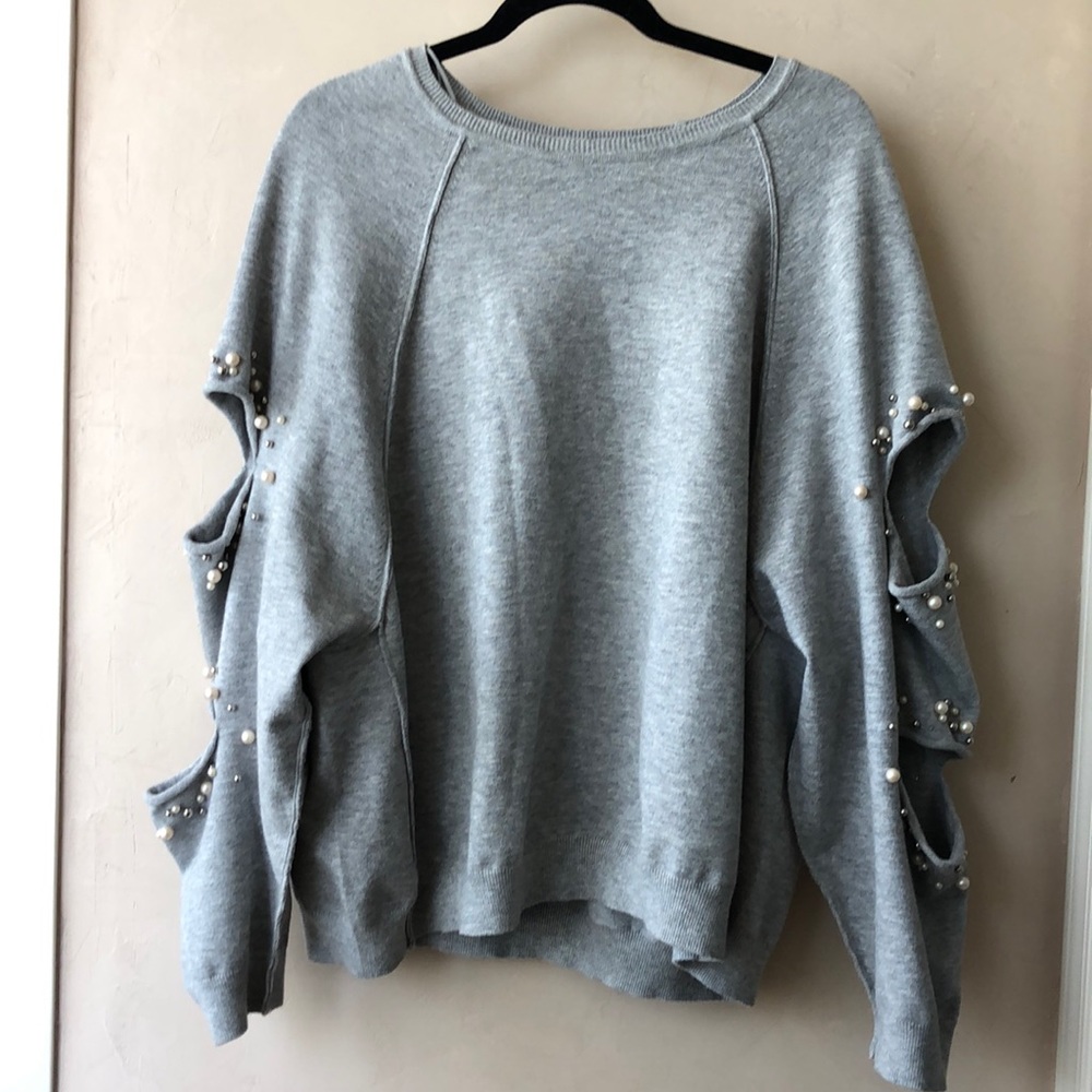 Zara sweatshirt/sweater